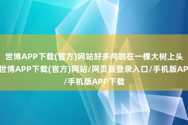 世博APP下载(官方)网站好多鸬鹚在一棵大树上头栖息-世博APP下载(官方)网站/网页版登录入口/手机版APP下载