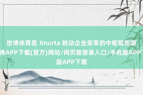 世博体育是 Xnurta 鼓动企业变革的中枢驱能源-世博APP下载(官方)网站/网页版登录入口/手机版APP下载