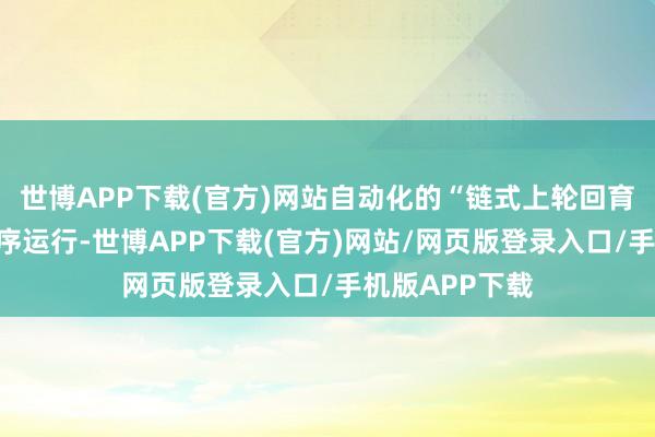 世博APP下载(官方)网站自动化的“链式上轮回育苗”坐蓐线有序运行-世博APP下载(官方)网站/网页版登录入口/手机版APP下载