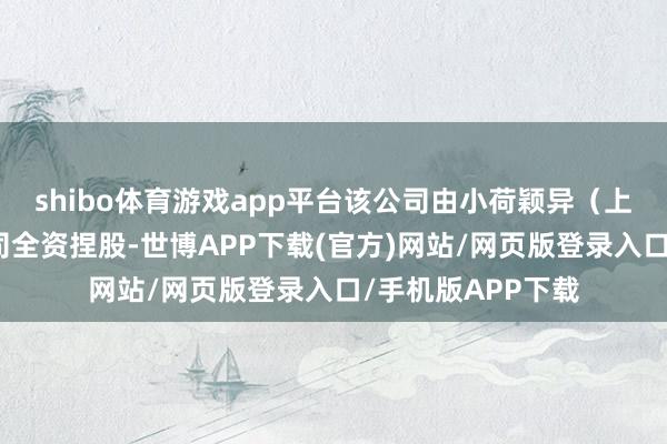 shibo体育游戏app平台该公司由小荷颖异(上海)科技有限公司全资捏股-世博APP下载(官方)网站/网页版登录入口/手机版APP下载