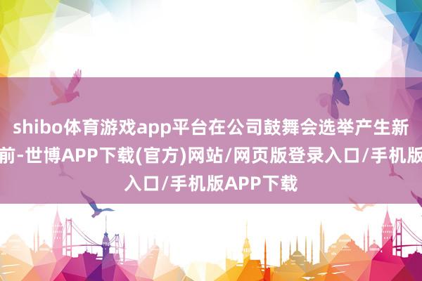 shibo体育游戏app平台在公司鼓舞会选举产生新任董事之前-世博APP下载(官方)网站/网页版登录入口/手机版APP下载