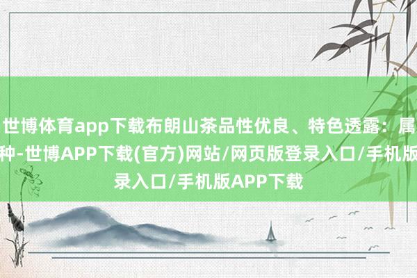 世博体育app下载布朗山茶品性优良、特色透露：属乔木大叶种-世博APP下载(官方)网站/网页版登录入口/手机版APP下载